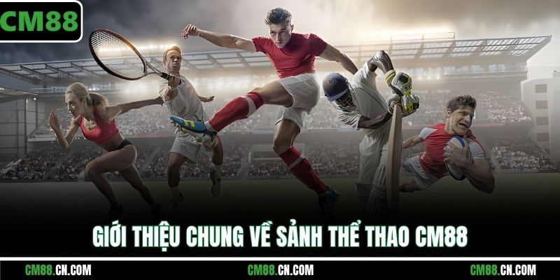 Giới thiệu chung về sảnh thể thao CM88